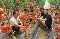 赤峰寧城曉娟診所電話多少號(hào)