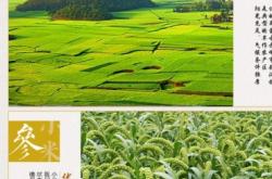 赤峰洗臉巾批發(fā)電話號(hào)碼查詢