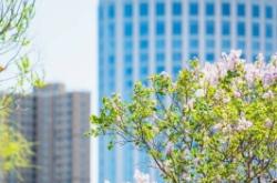 赤峰路業(yè)務(wù)員聯(lián)系電話號碼