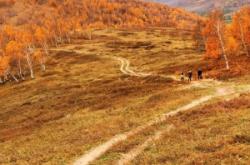 赤峰阿亮理發(fā)店地址電話號碼