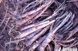 赤峰關(guān)家營大營子社區(qū)電話號碼