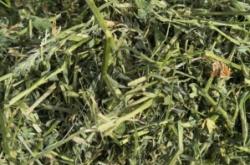 赤峰草捆采購信息