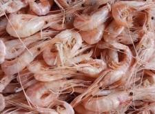 赤峰凍蝦批發(fā)市場電話號(hào)碼