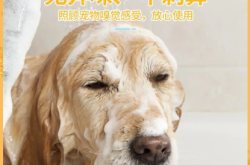 赤峰寵物修毛工具廠電話號(hào)碼