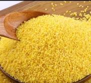 赤峰鹿產(chǎn)品批發(fā)商家電話號碼