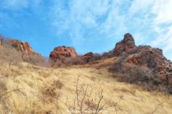 赤峰祭壇花廠家電話號碼查詢