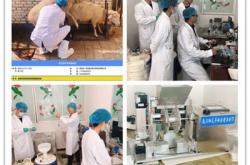 赤峰羊養(yǎng)殖廠地址電話查詢號碼