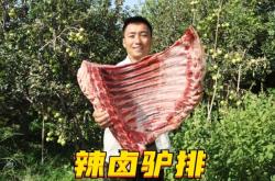 赤峰驢排批發(fā)電話號碼多少