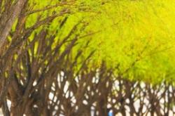 赤峰建飛騰躍物業(yè)電話號碼查詢