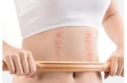 赤峰通經(jīng)絡(luò)店電話號碼多少號