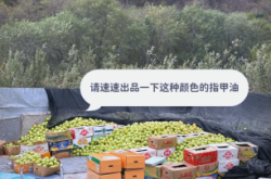 赤峰附近蘋(píng)果園地址電話號(hào)碼