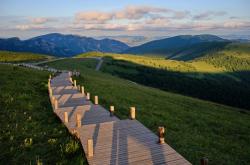 赤峰木語古箏專賣店電話號碼