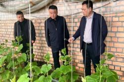 赤峰市錦山采摘園電話號(hào)碼