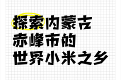 赤峰董家小米店電話號碼查詢