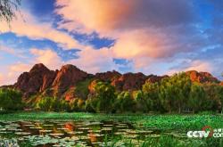 赤峰紅山魚庫電話地址是多少號