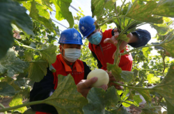 赤峰鄉(xiāng)鎮(zhèn)供電所電話是多少號(hào)