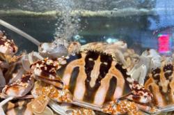 赤峰有機魚頭批發(fā)市場電話地址