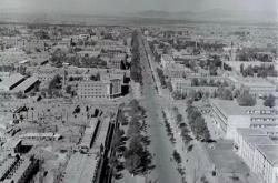 赤峰林東燉雞店電話號碼多少