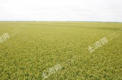 赤峰巴林右旗甜品店電話號(hào)碼