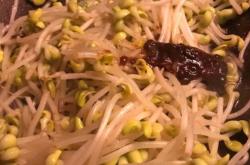 赤峰市韭香里脊飯店電話號(hào)碼