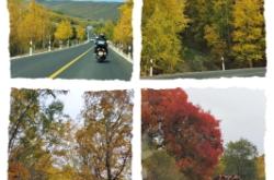 營口到赤峰的私家車電話號(hào)碼