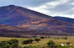 赤峰洪風(fēng)馬術(shù)館電話號(hào)碼多少