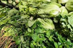 赤峰頭條新菜市場電話號(hào)碼