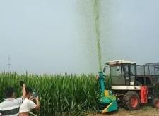 赤峰進(jìn)口收割機(jī)電話號(hào)碼查詢