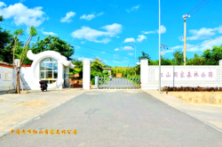 赤峰紅山區(qū)頭飾店電話號碼