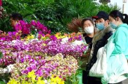 赤峰批發(fā)花卉基地電話號(hào)碼