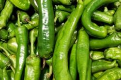 赤峰青辣椒清洗機售后電話號碼