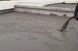 赤峰起泡劑廠家電話號碼查詢