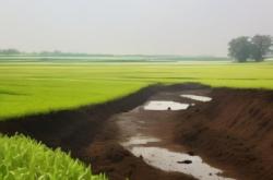 赤峰市耕地保護(hù)股電話號碼