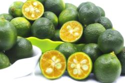 赤峰賣小青桔的地方電話號(hào)碼