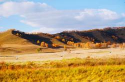 赤峰平莊馬立武診所電話號(hào)碼