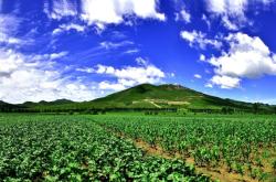 赤峰林西泳衣店電話多少號