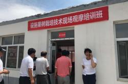 內蒙古赤峰葵花種植電話是多少