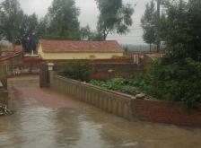 赤峰市大廟養(yǎng)老院電話號(hào)碼