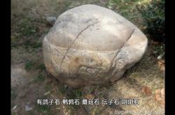 赤峰賣活鵪鶉的電話號(hào)碼是多少