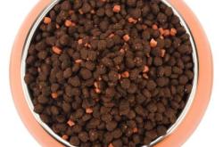 赤峰閑置貓糧電話多少號碼