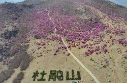 赤峰杜鵑山風(fēng)景區(qū)電話號(hào)碼