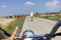 赤峰達里湖直營店電話號碼