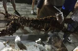 赤峰到商丘長途大巴車電話號碼