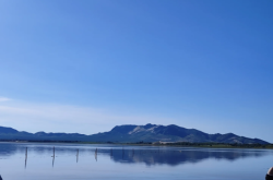 赤峰小陌直播間電話是多少號(hào)