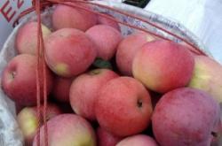 赤峰水果月餅批發(fā)電話多少號(hào)