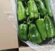 赤峰尖椒收購商電話是多少號