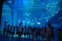 赤峰新城海洋館電話號碼多少