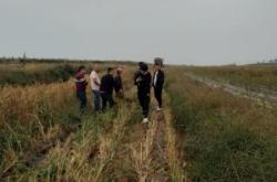 赤峰文鐘景區(qū)電話號碼查詢是多少