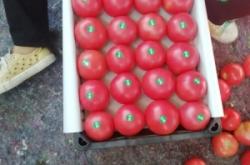 赤峰馨悅草莓園電話多少號