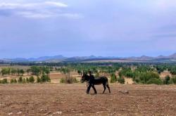 赤峰敖漢結(jié)婚酒店電話號(hào)碼多少